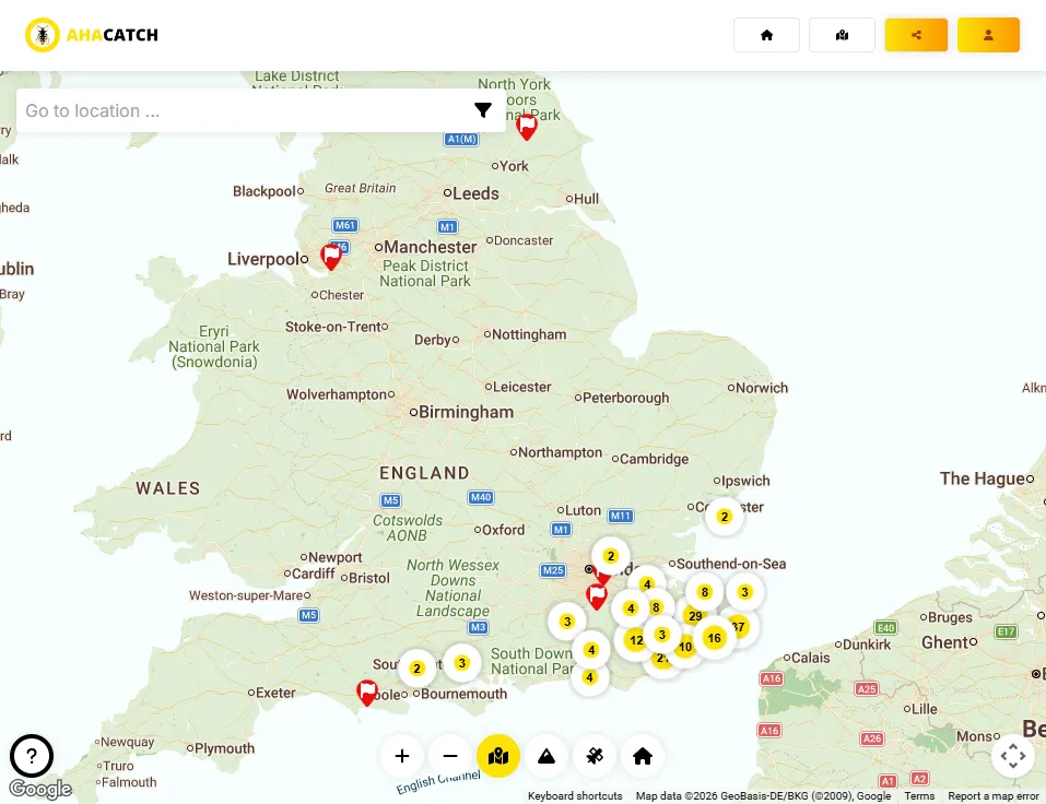 AHA CATCH sighting map showing Asian Hornet detections across England, concentrated in the south-east
