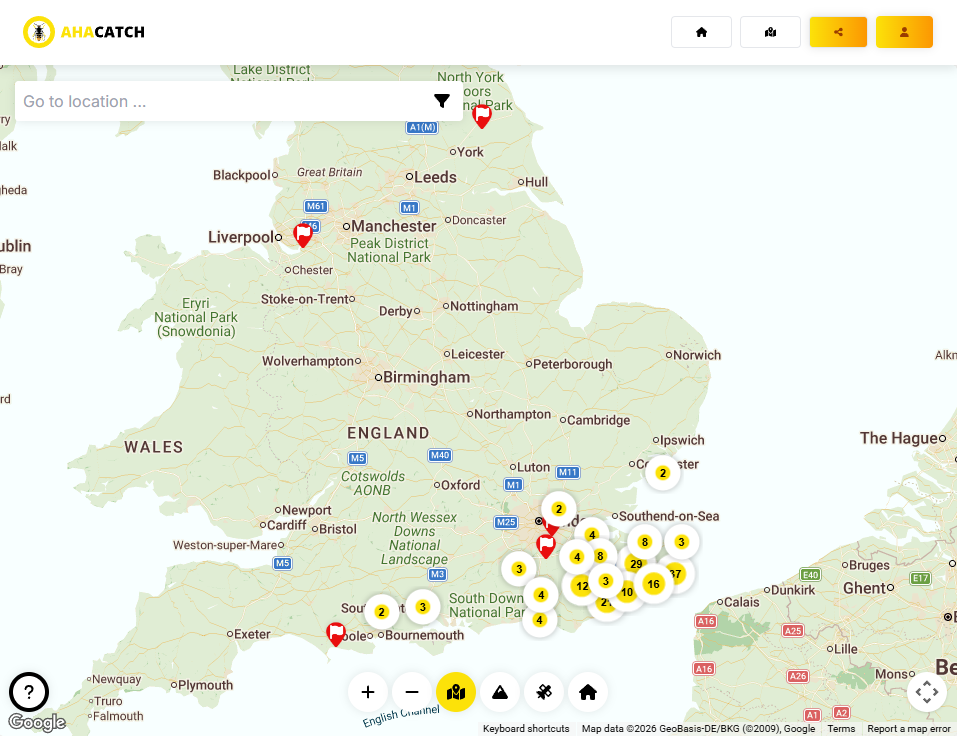 AHA CATCH sighting map showing Asian Hornet detections across England, concentrated in the south-east